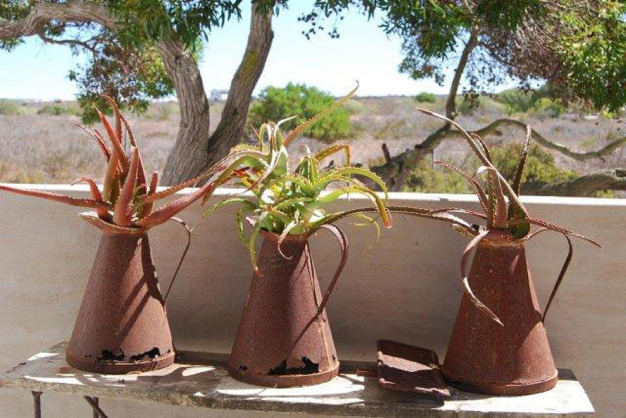 Gelukkie Hotell Paternoster Exteriör bild